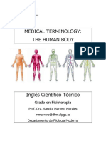 Medical Terminology - The Human Body Worksheets