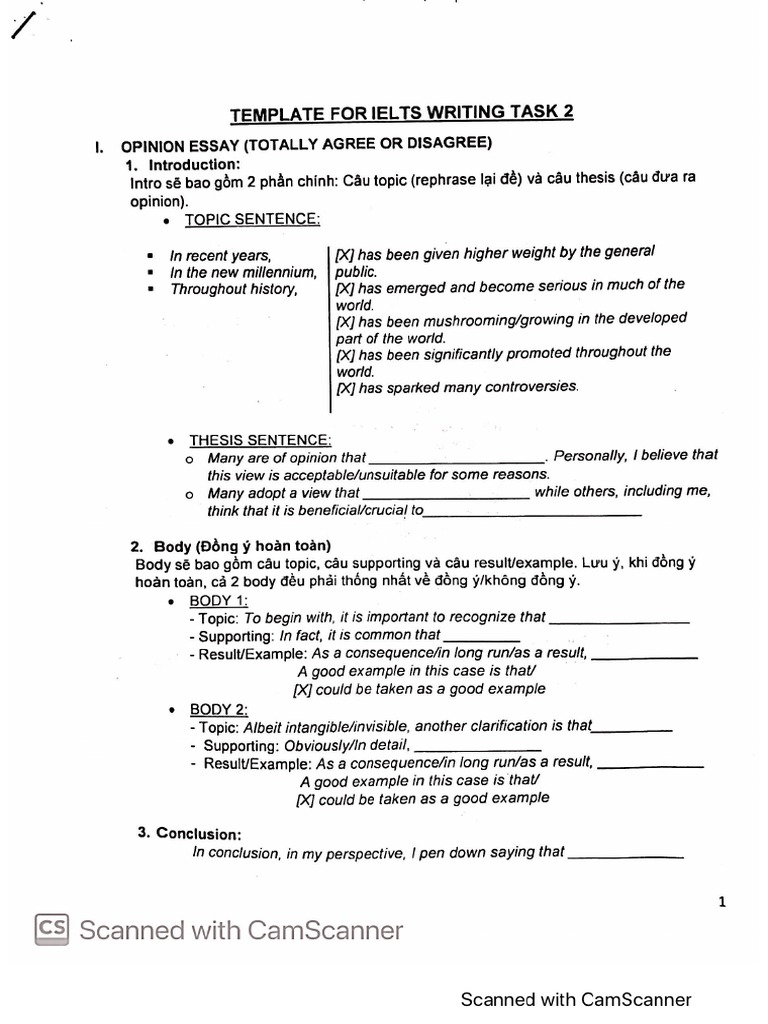 Template For IELTS Writing Task 2 PDF