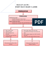 Bagan Alur Bayi Baru Lahir