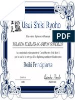 Curso Maestro Reiki Nivel1 (2)