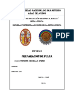 422376138-Informe-de-Preparacion-de-Pulpa