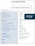 Muhammad Masruhin - Curruculum Vitae