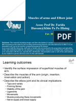 Muscles of Arms and Elbow Joint - Plenary