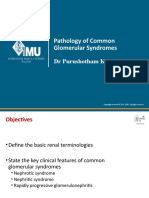 Pathology of Common Glomerular Syndromes: DR Purushotham Krishnappa