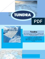 Carl PPT (Tundra)