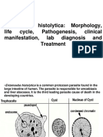 E. histolytica Morphology, Life Cycle, Pathogenesis