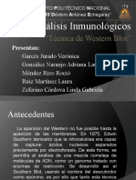 WestERn Blot