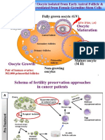 Lab 3. Establishment of in Vitro Growth Systems For Oocytes