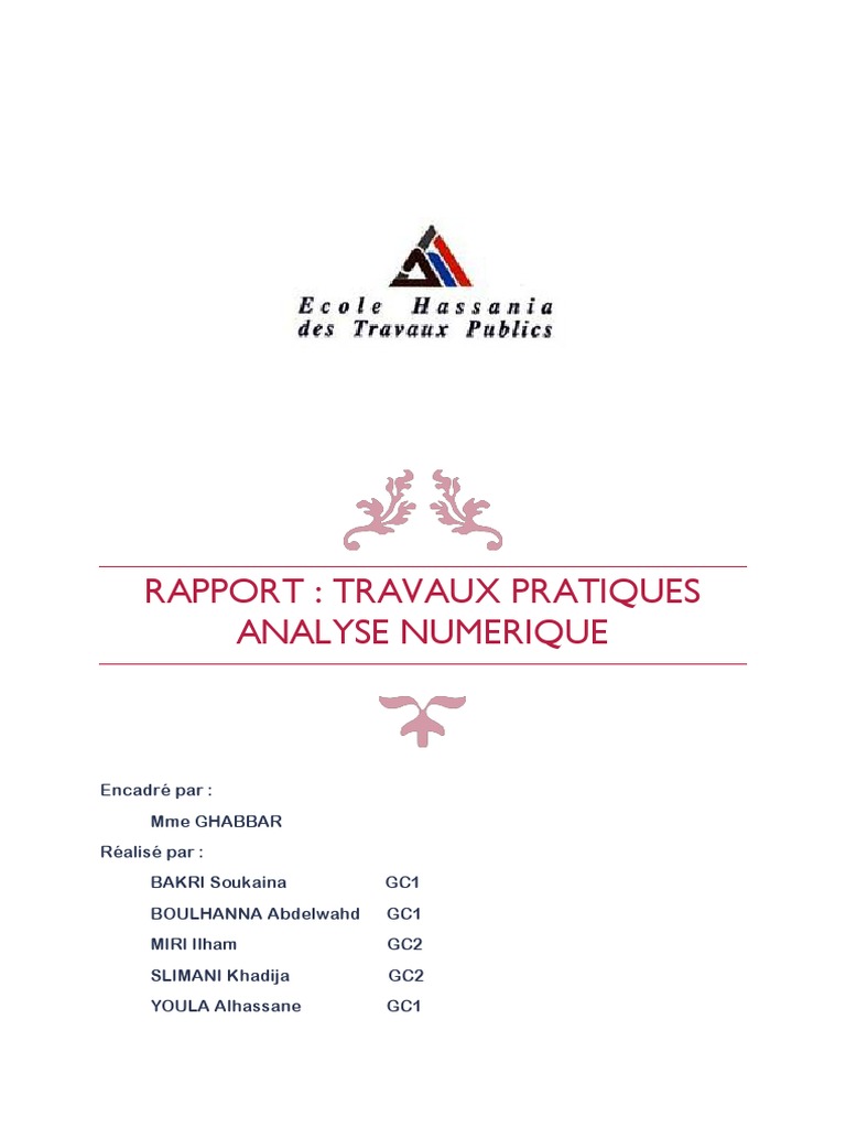 Rapport sur l'Analyse Numérique et TP | PDF | Équations | Objets ...