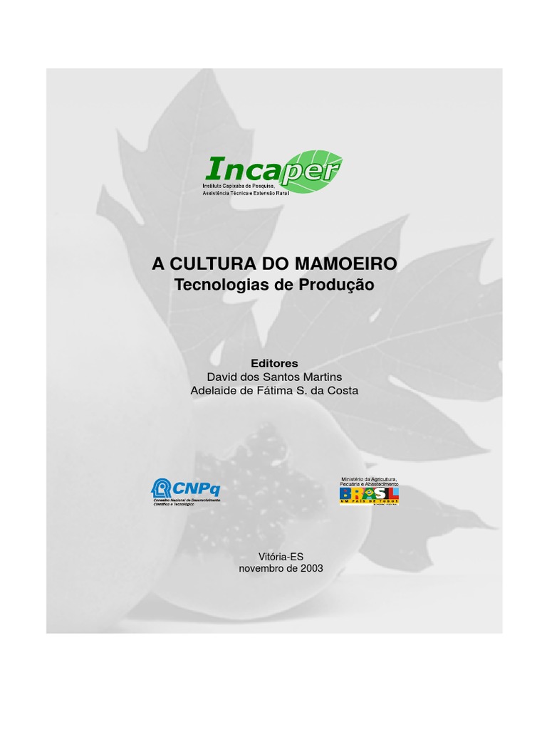 DOCE CREMOSO DE BANANA  HF Carraro - Agroindústria de Produtos Orgânicos