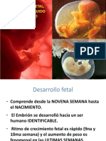 Seminario Desarrollo Fetal