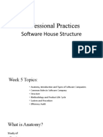 Professional Practices: Software House Structure