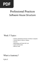 Professional Practices: Software House Structure