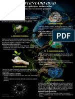 Infografia - Sustentabilidad