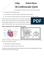 Physics of The Cardiovascular System: Dentistry College Medical Physics