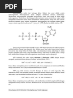Download Metabolisme Mikroba by merrysianipar SN54926753 doc pdf