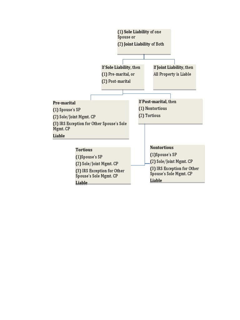 Spousal Liability: Sole vs. Joint Analysis | PDF
