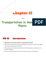 Chapter-11: Transportation in Animals and Plants