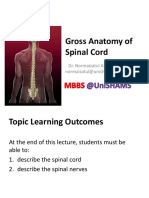 Gross Anatomy of Spinal Cord: Dr. Normaizatul Afizah Ismail Normaizatul@unishams - Edu.my