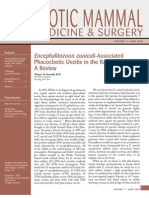 AEMV Journal of Exotic Mammal Medicine and Surgery_June03