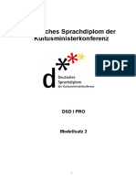 DSD Pro Prüfung