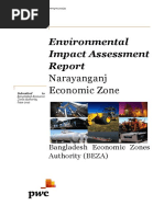 EIA of Narayanganj