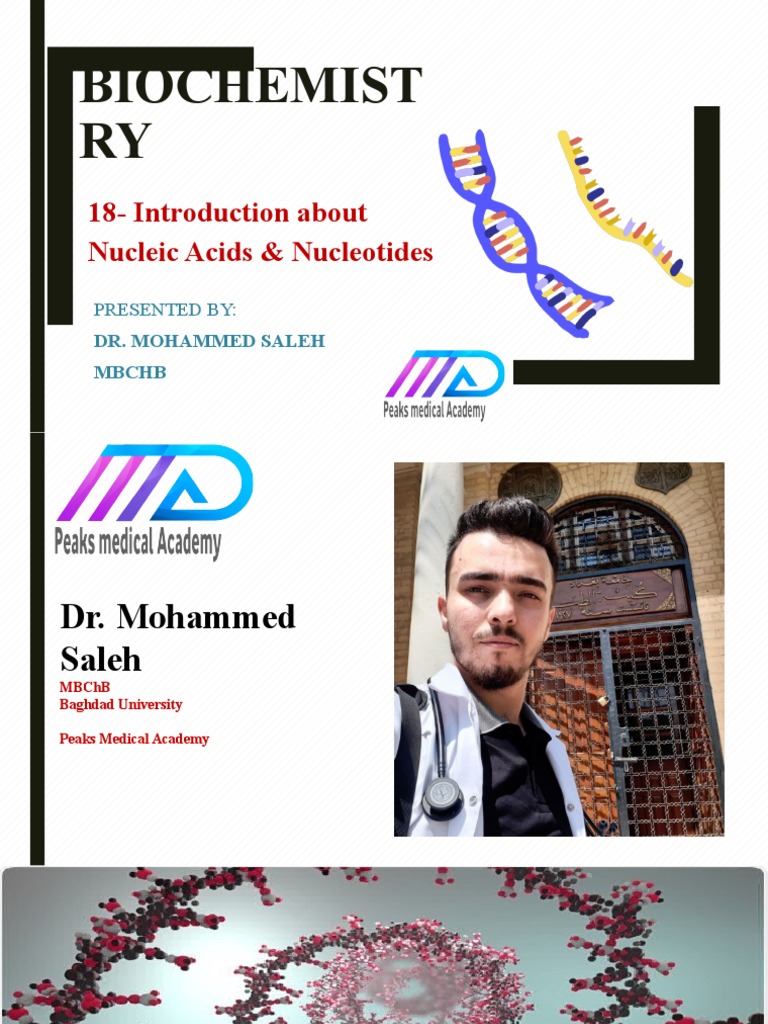 18 - Introduction About Nucleic Acids & Nucleotides | PDF | Nucleotides ...