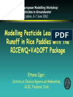 Modelling Pesticide Leaching and Runoff in Rice Paddies With The RICEWQ+VADOFT Package