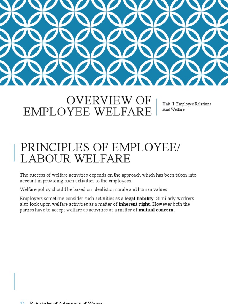 Overview of Employee Welfare | PDF | Labour Law | Employment