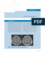 Esample Neuroanatomia Min 2