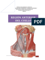 Region Anterior Del Cuello