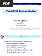 What Is NGN: Basic Architecture