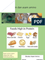 Protein Dan Asam Amino