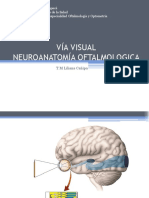 Vía Visual Neuroanatomía Oftalmologica
