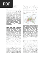 Download Sistem Saraf Hewan Vertebrata dan Invertebrata by Indra Lesmana SN54936261 doc pdf
