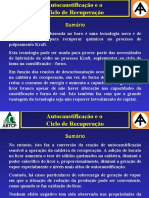 Autocaustificação e o Ciclo de Recuperação