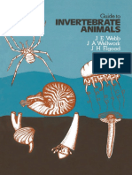 H. E. Webb - Invertebrate Animals