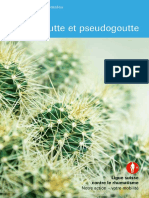 Goutte Pseudogoutte F331 Layout Low 0517
