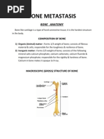 Bone Metastasis