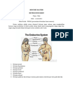 Resume Sistem Endokrin