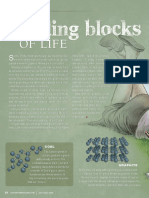 Of Life: Building Blocks