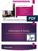 Inflammation & Healing