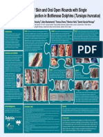 Treatment Wounds With PRP in Dolphins Poster