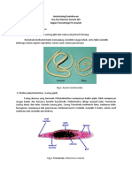 (KULIAH 8) Helminthology
