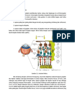 Resume Fisio Retina