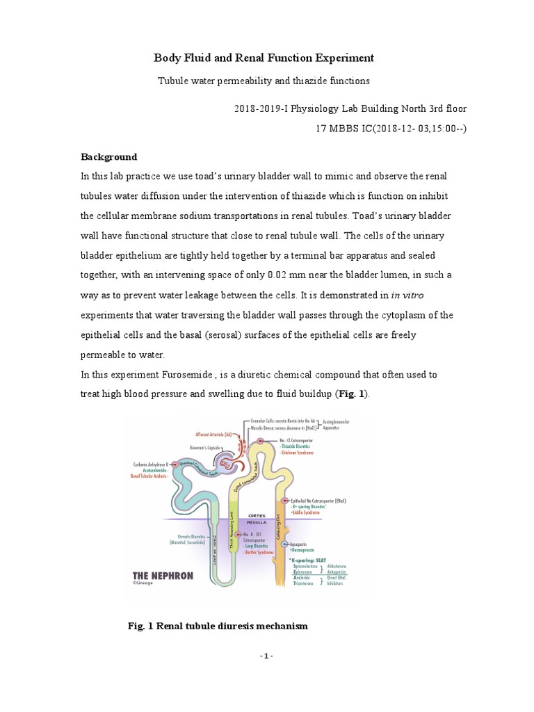 Frog Urine Product (20182019I, 17IC) 20181203 PDF