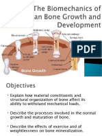 Biomechanics of Human Bone Growth & Development