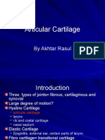 Articular Cartilage: by Akhtar Rasul