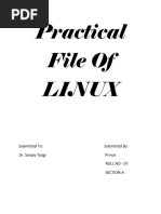 Linux File