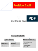 Gram Positive Bacilli: Dr. Khalid Tawil